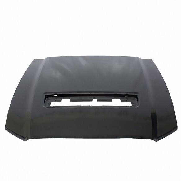 Hood Panel Extension (Shelby) Main Image