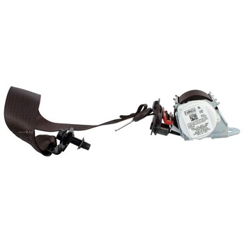 Seat Belt Lap and Shoulder - Left, Rear