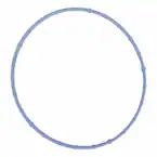 Fuel Injection Throttle Body Mounting Gasket Main Image