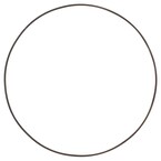 Spring Wave Forward Clutch Main Image