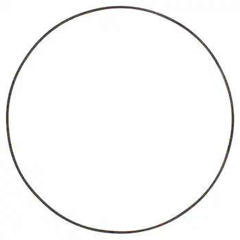 Spring Wave Forward Clutch