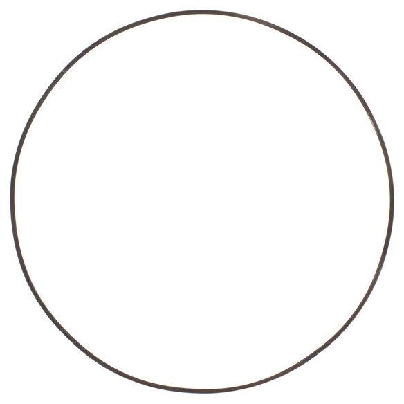 Spring Wave Forward Clutch Main Image