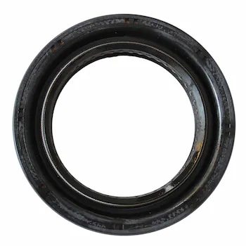 Transfer Case Input Shaft Seal (AT)