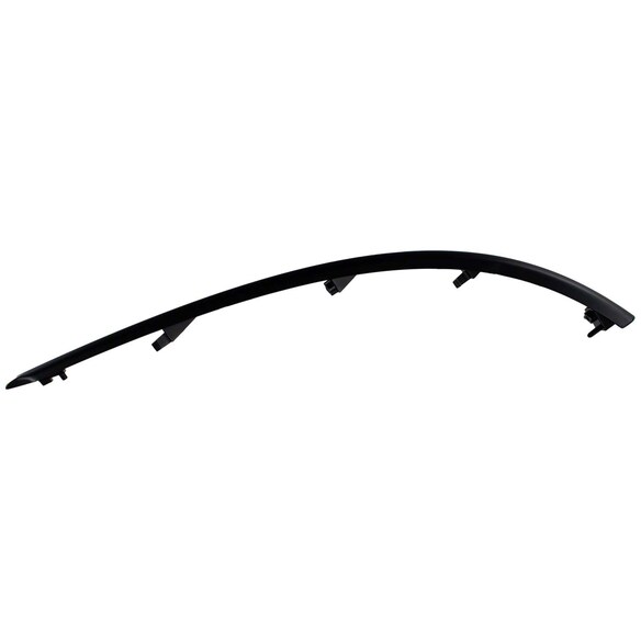 Bumper Molding MOULDING Bar - Right, Rear Main Image