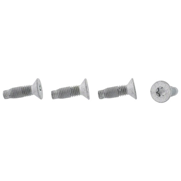 Door Lock Striker Plate Bolt Screw Main Image