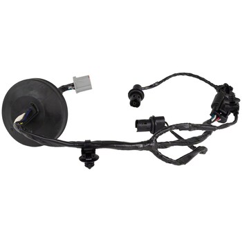 Socket and Wire Lamp