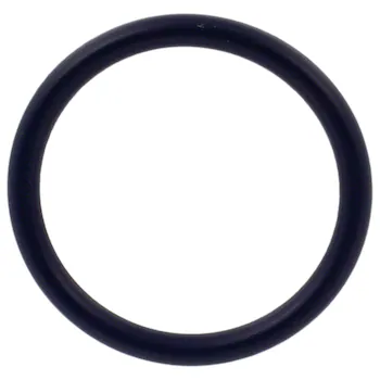 Exhaust Gas Recirculation (EGR) Valve Gasket Sealing Ring - 2.3L