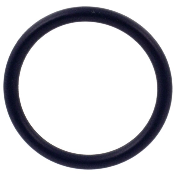 Exhaust Gas Recirculation (EGR) Valve Gasket Sealing Ring - 2.3L Main Image