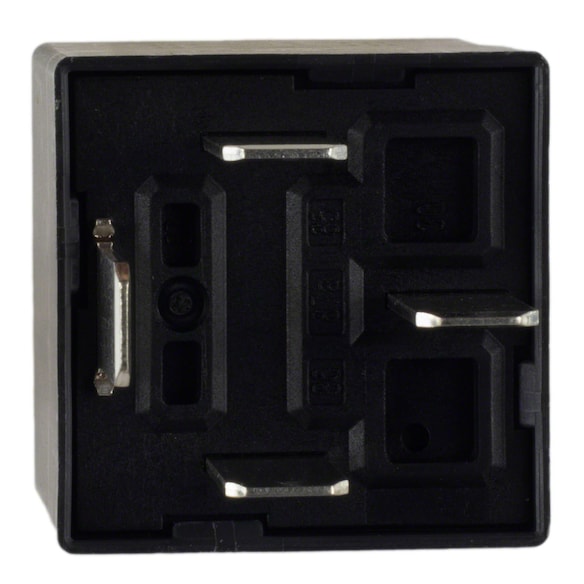 485353.jpg