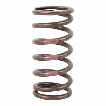 Engine Valve Spring