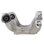 Suspension Knuckle and Bushing - Left, Rear (Shelby) Main Image