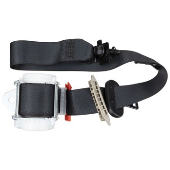 Seat Belt - Left, Rear