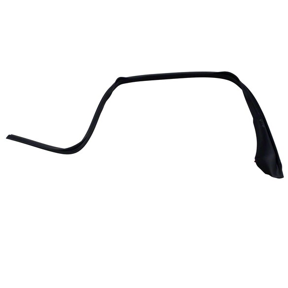 Roof Panel Weatherstrip - Right, Front Main Image