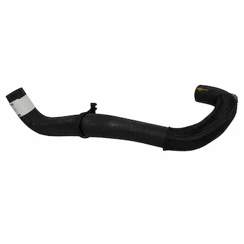 Radiator Coolant Hose - Lower