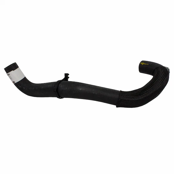 Radiator Coolant Hose - Lower Main Image
