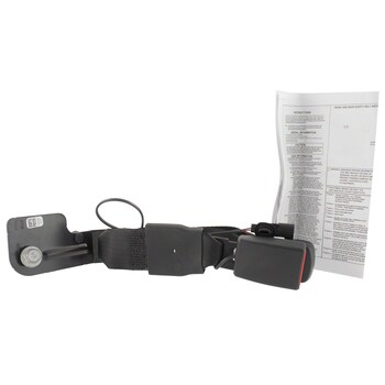 Seat Belt Receptacle And Buckle - Rear