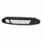 Bumper Grille - Front (Limited, SHO) Main Image
