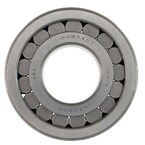 Driving Pinion Bearing - Rear 21 Main Image