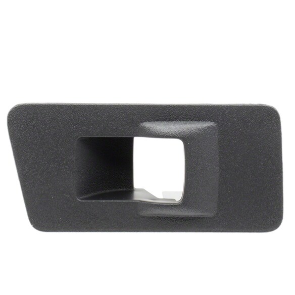 Switch Housing Door Trim Panel - Left, Rear Main Image
