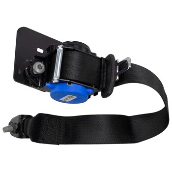 Seat Belt Lap and Shoulder - Left, Rear