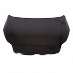 Hood Panel Extension (BEV) Main Image