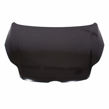 Hood Panel Extension (BEV)