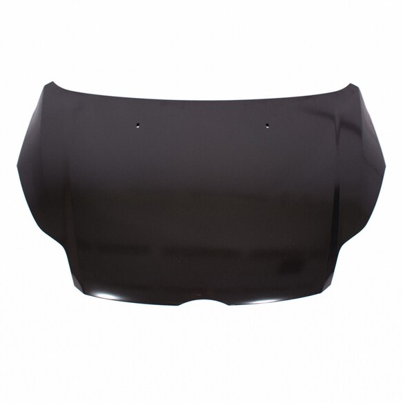 Hood Panel Extension (BEV) Main Image