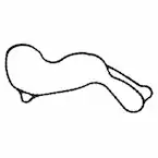 Engine Water Pump Gasket Main Image