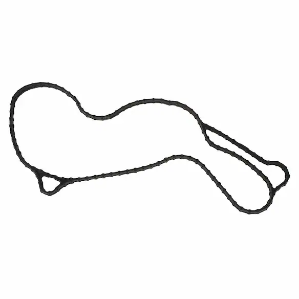 Engine Water Pump Gasket Main Image