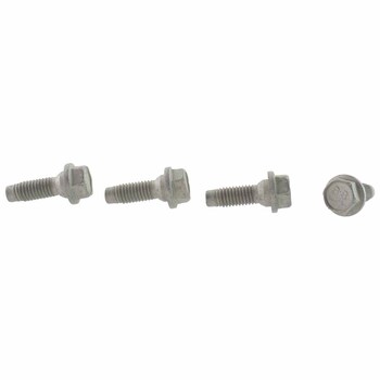 Door Hinge Bolt Screw And Washer (Convertible, Coupe)