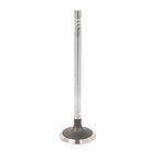Engine Exhaust Valve - 5.2L Main Image