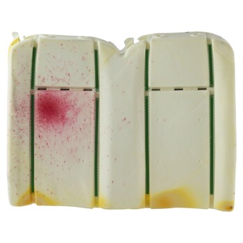 Seat Back Cushion Pad - Rear