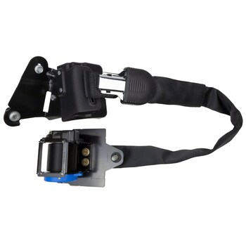 Seat Belt Lap and Shoulder - Right, Rear