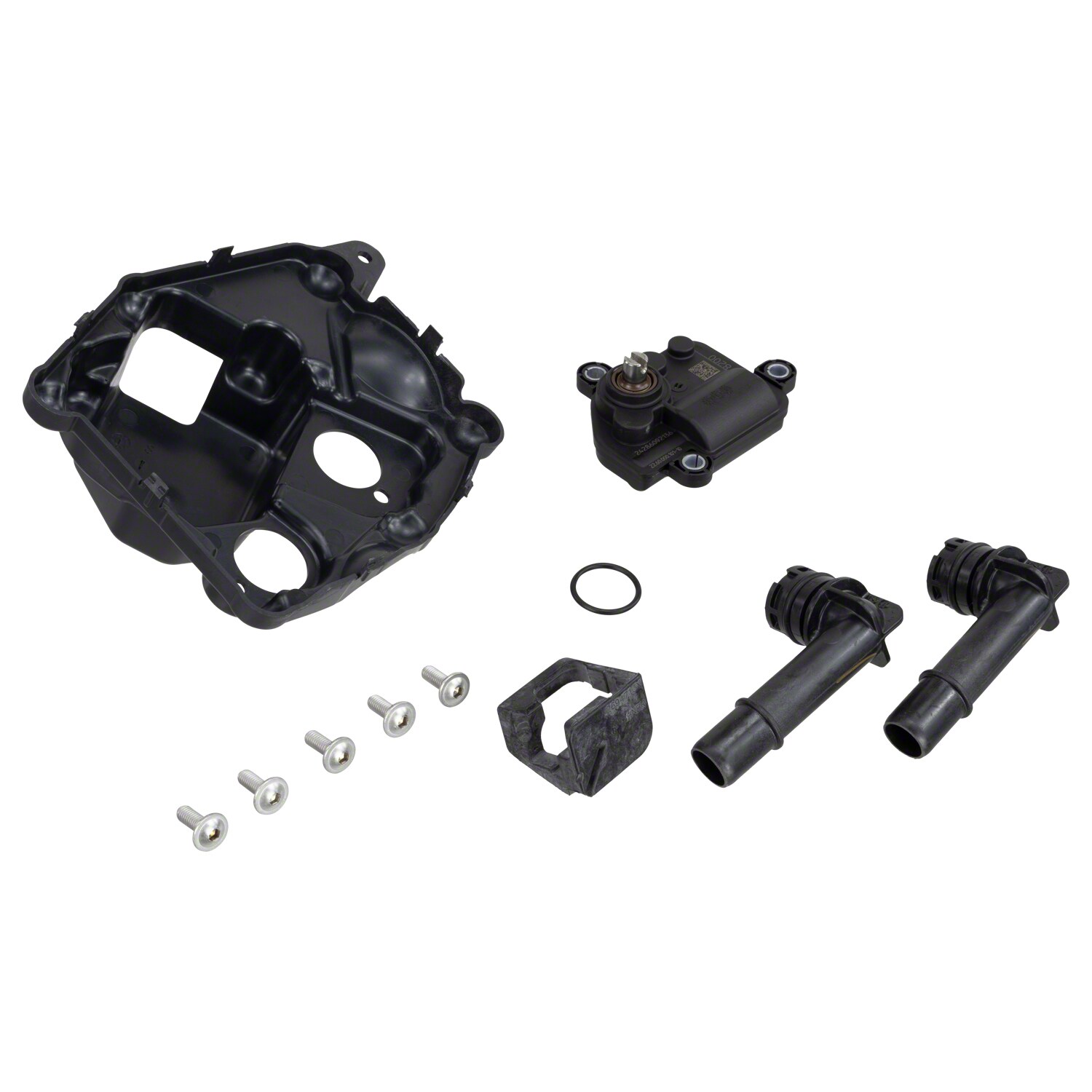 Valve Exhaust - 3.5L (Dual Exhaust) | Parts | Ford.com