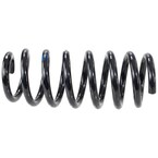 Coil Spring - Rear 3.7L Main Image
