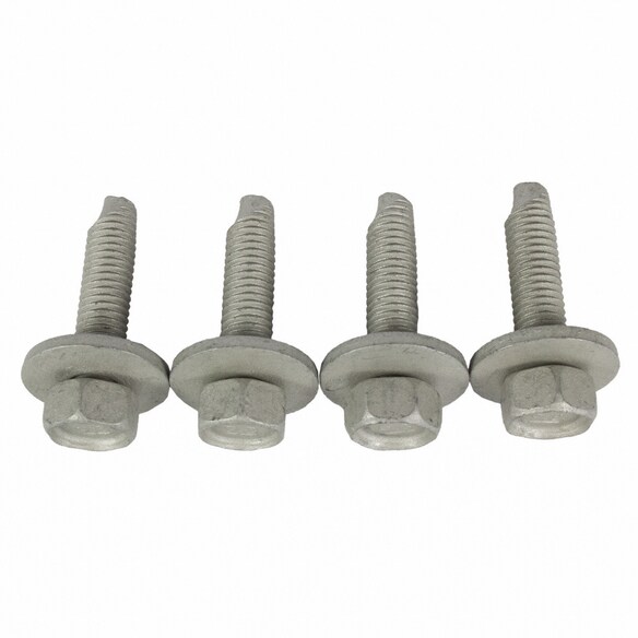 Screw Main Image