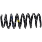 Spring - Rear 2.0L Main Image