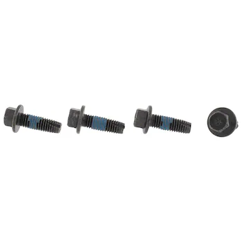 Door Check Bolt Screw