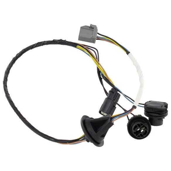 Tail Light Socket Turn Signal - Rear Main Image