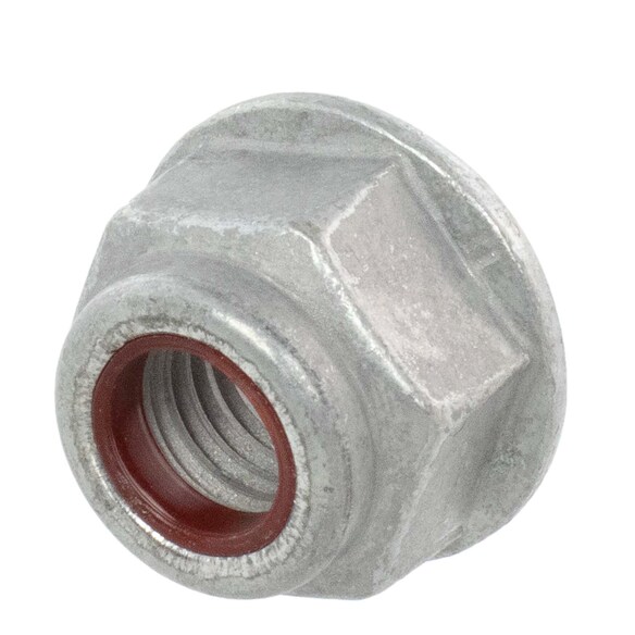 557378.jpg