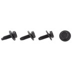Screw Bumper Impact Bar Bolt - M8 X 1.25 25 Main Image