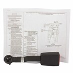 Seat Belt Receptacle - Right, Rear, Center (XL) Main Image