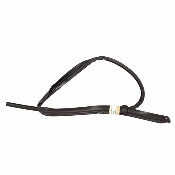 Roof Panel Weatherstrip - Left, Front Main Image