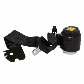 Seat Belt Lap and Shoulder - Rear