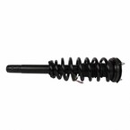 Suspension Strut and Coil Spring Assembl Loaded ASSEM - Right, Front Main Image