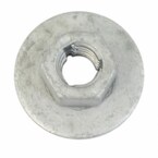 Tail Light Nut - M6, Front Main Image