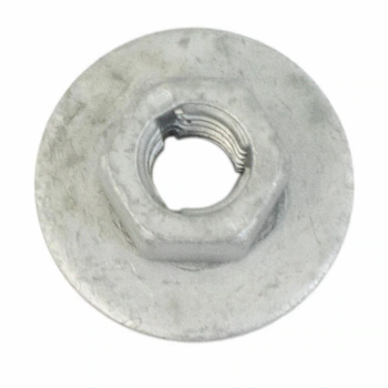 Tail Light Nut - M6, Front