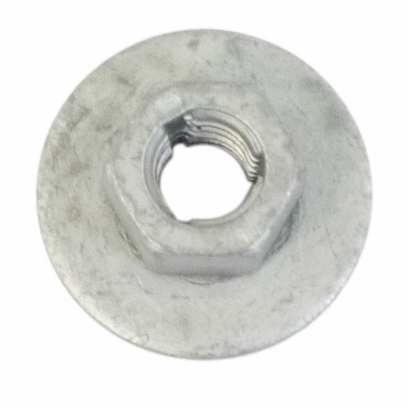 Tail Light Nut - M6, Front Main Image