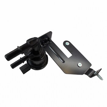 Vapor Canister Purge Valve - 4.6L