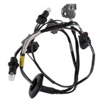 Socket and Wire Lamp Main Image